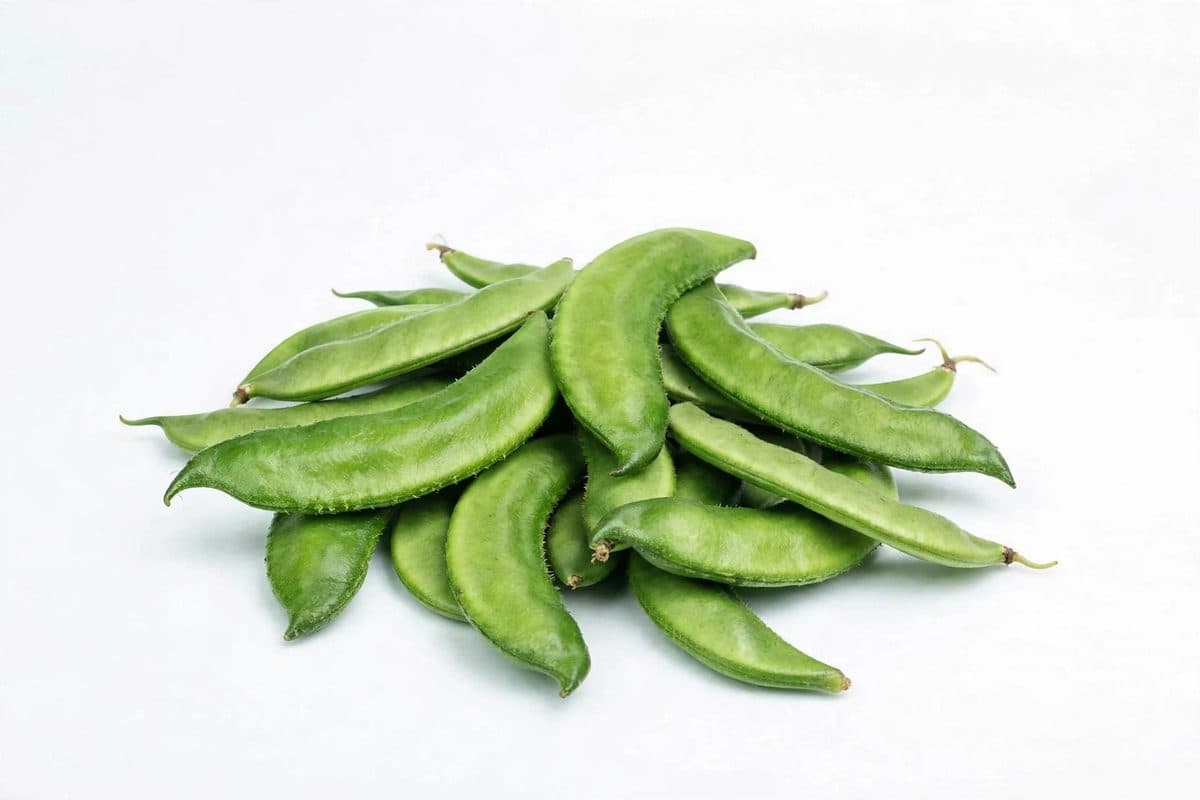 শিম